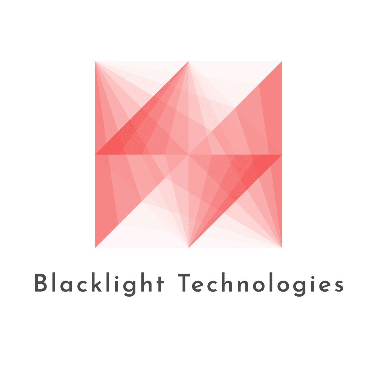 Blacklight Technologies Ltd. logo